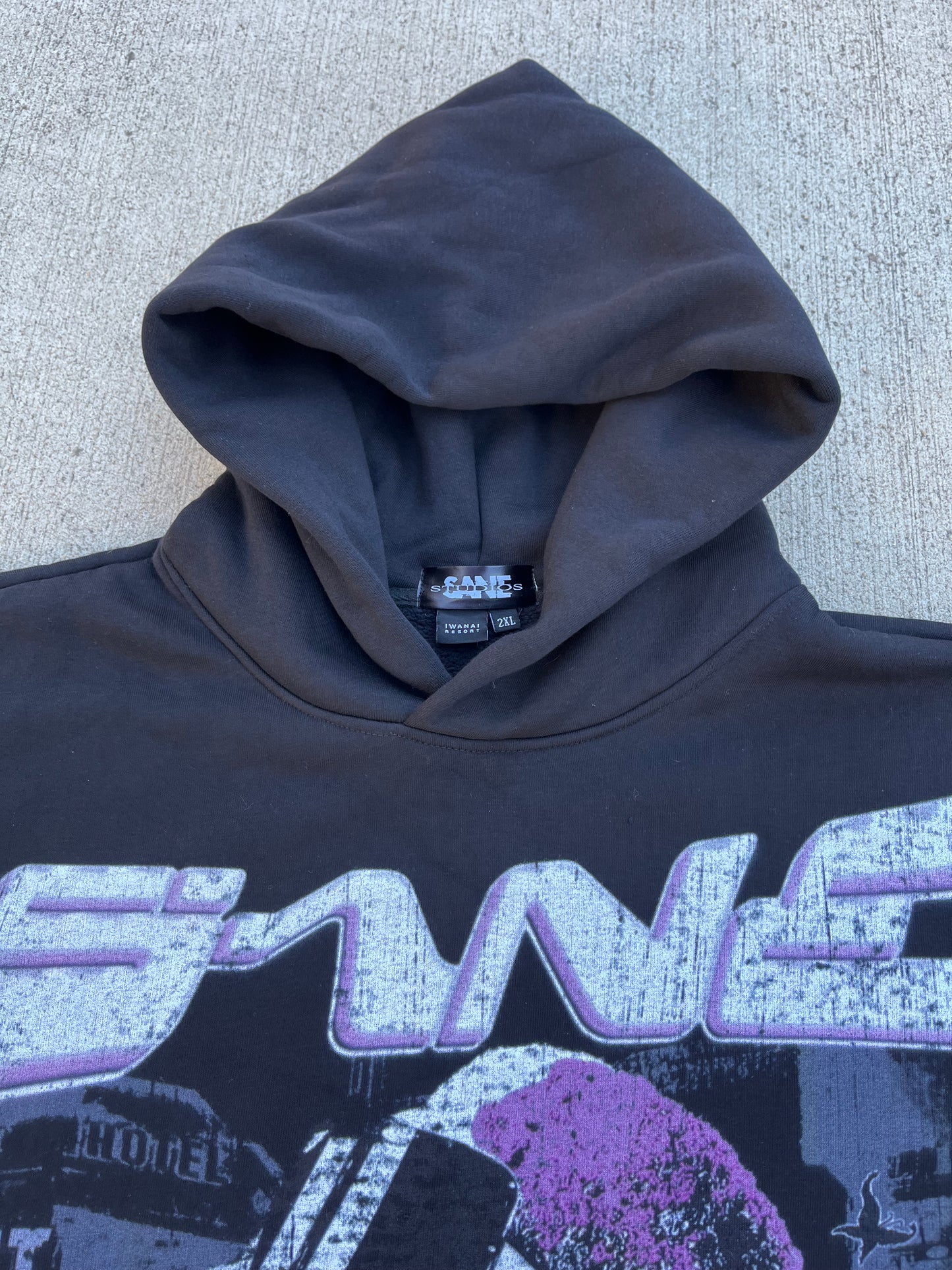 Sane Hoodie